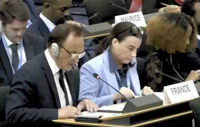 D&eacute;l&eacute;gation de la France &agrave; l'ONU
